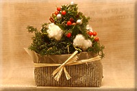 miniクリスマスツリー/Kyoto-Minami Chiropractic Photo Gallery/Side-A/カイロプラクティック・フォトギャラリー